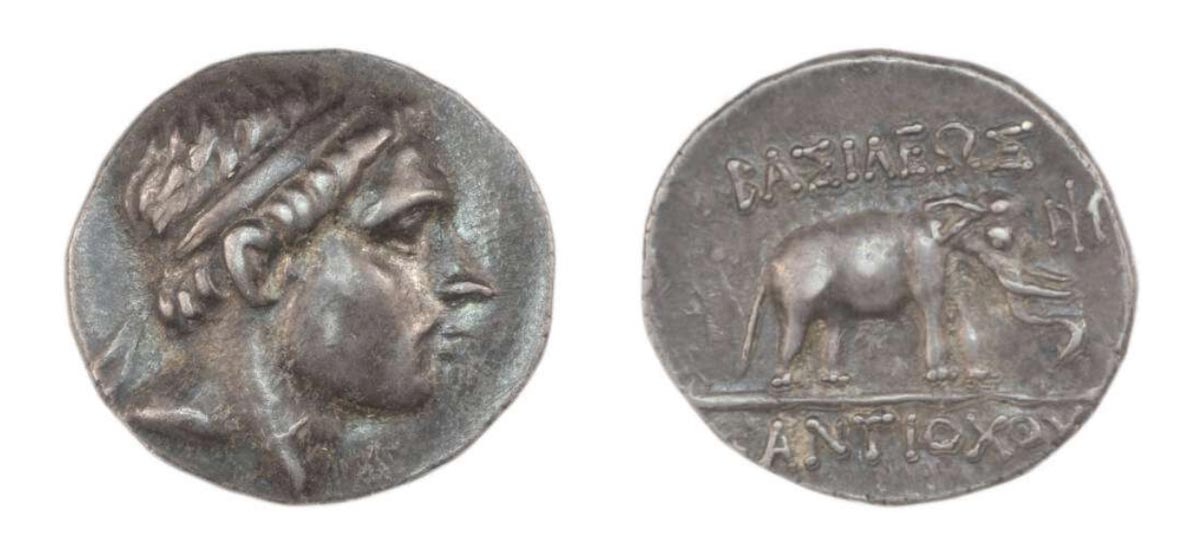 Antiochus elephant coin Syria British Museum